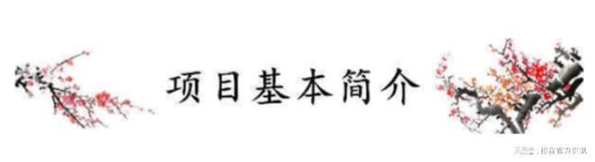 售楼处)电线楼盘评测(图)详情开元棋牌试玩重庆南方公园美墅(