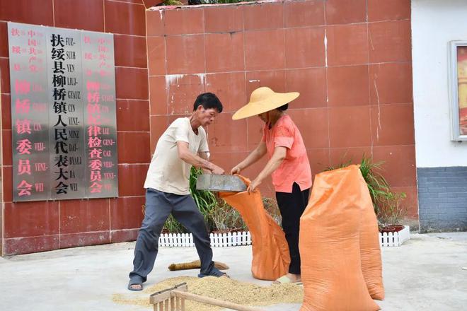 个县城创造罚款收入下降“奇迹”开元棋牌政府大楼旁可以摆摊这(图4)
